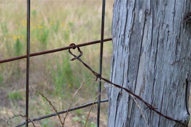 barbed wire lock