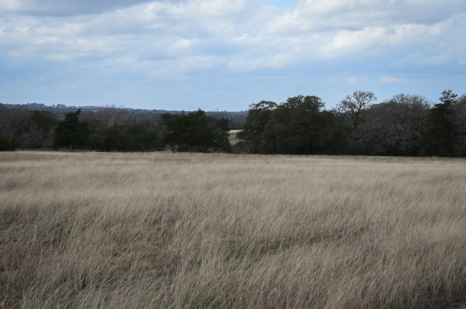 hay field on Sun Oil Rd