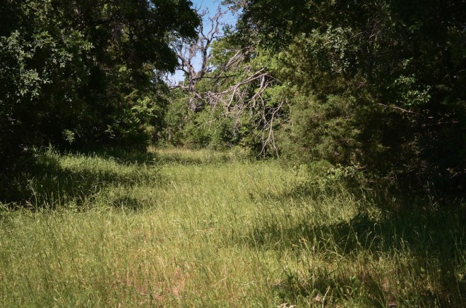 Valley Forge Ln - The End