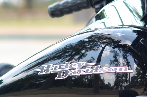 Caught in the act - Herman Park