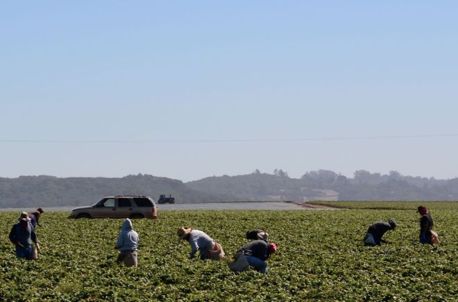 farmworkers