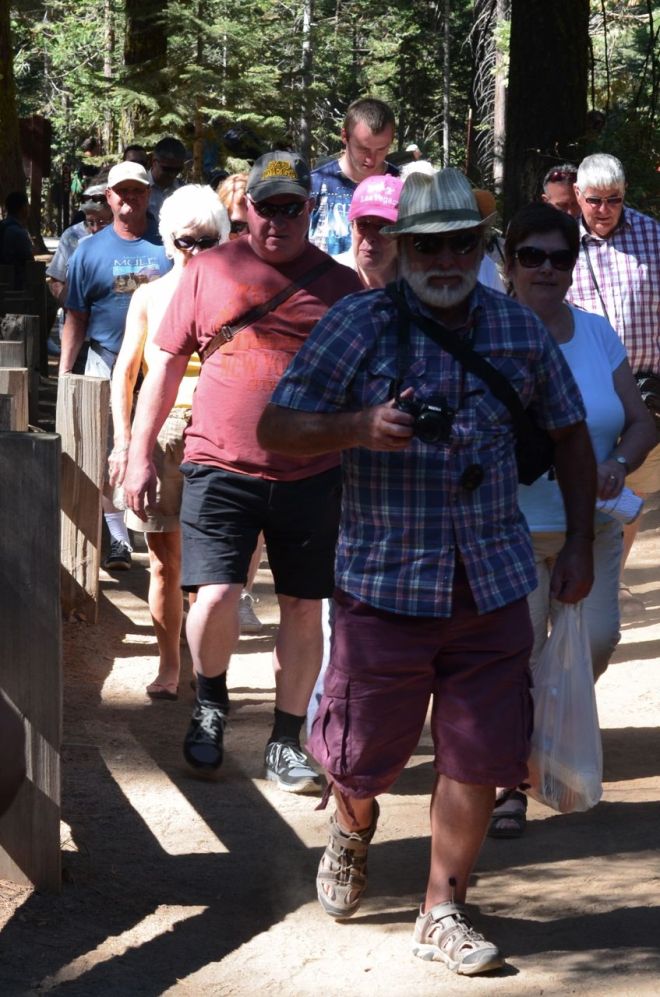 german tourists at giant redwoods