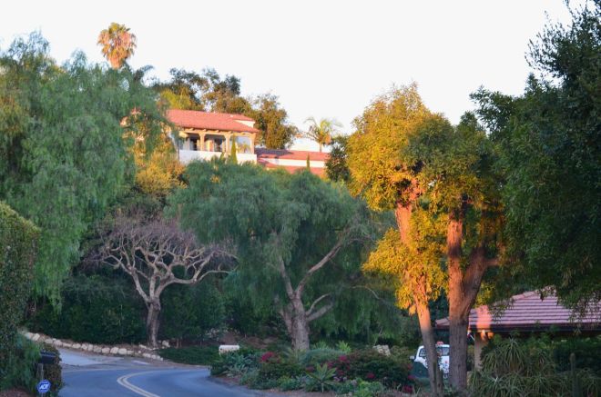 hills on Las Alturas Road