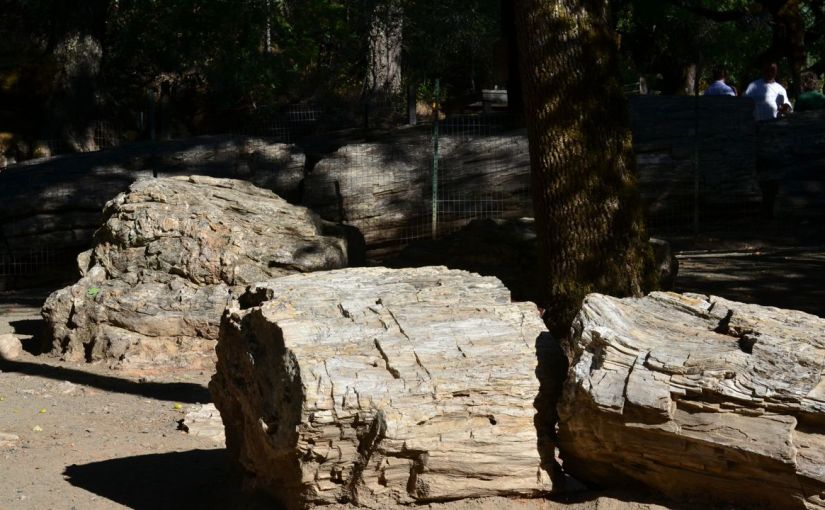 Living In The&nbsp;Past