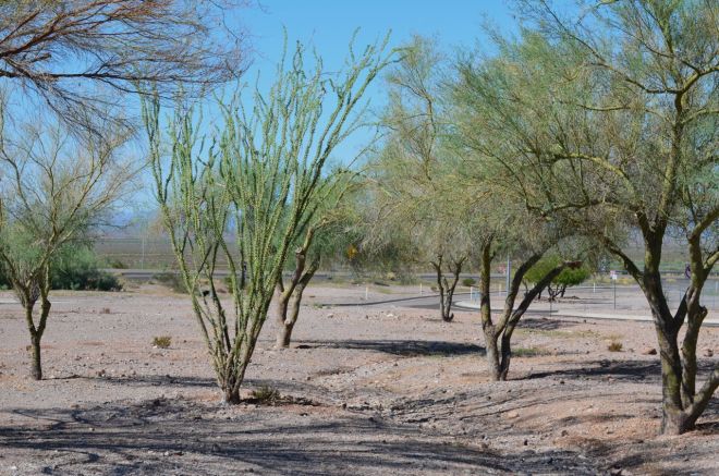 rest area 60 miles outside Phoenix