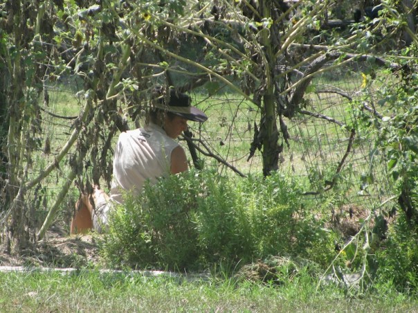 In her garden at Rita Ridge sm