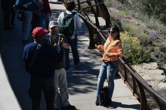 Strutter poser South Rim