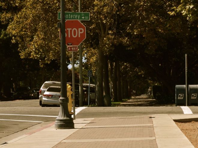 tree covered sidewalk