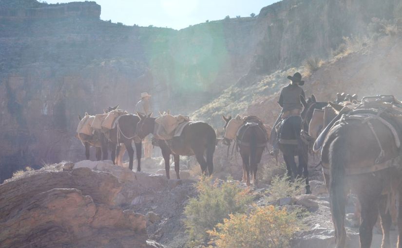 ‘Tomorrow and Tomorrow and Tomorrow’ – Grand Canyon, Day-1,&nbsp;Afternoon