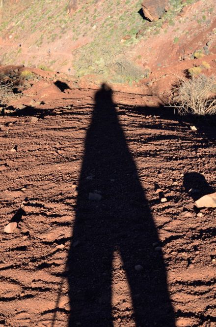 the long shadow of death