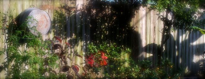 Americano Estate December 2014