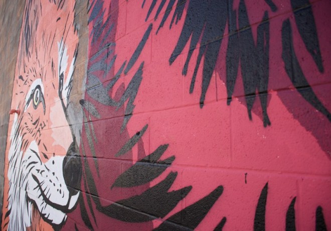 The Fox - Winter Street