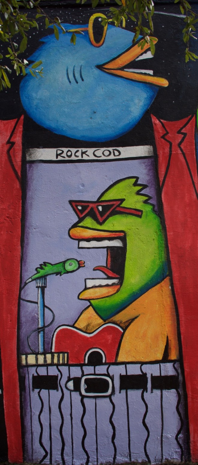 Rock Cod