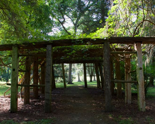 Grape Arbor - Historic Home Natchez Trace