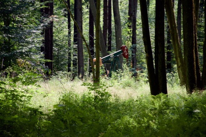 Jack pump in Allegheny Forest near Pigeon