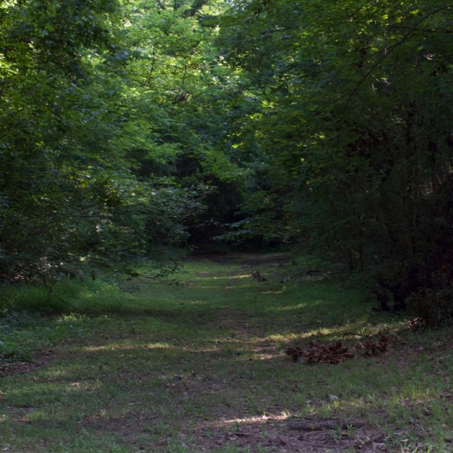 Original endpoint of the Natchez Trace