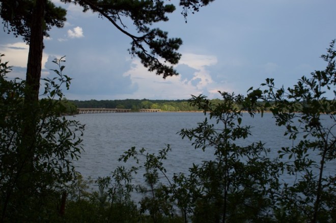 View from Diane's backyard